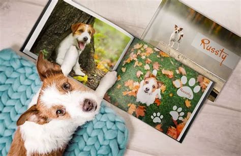 Custom Dog Photo Album