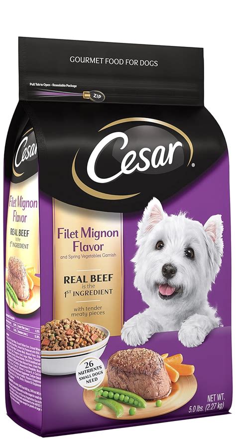 Unleash Your Dog's Inner Gourmet: Our Top 10 Rated Dog Food Brands ...