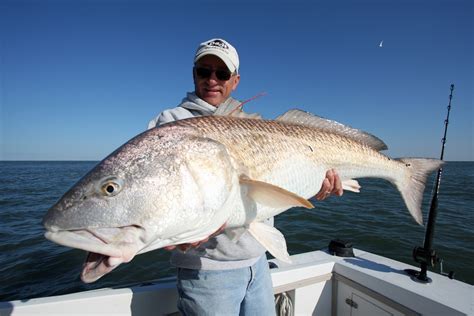 NJFishing.com Your Best Online Source for Fishing Information in New ...