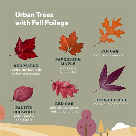 Guide to Fall Foliage in Oregon - Travel Oregon