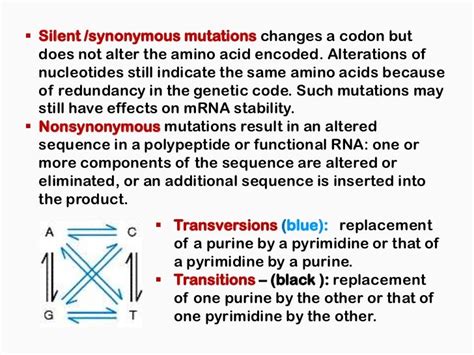 Mutation and dna repair mechanisms