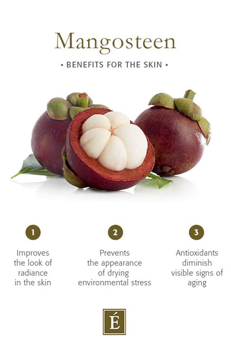 Mangosteen Benefits