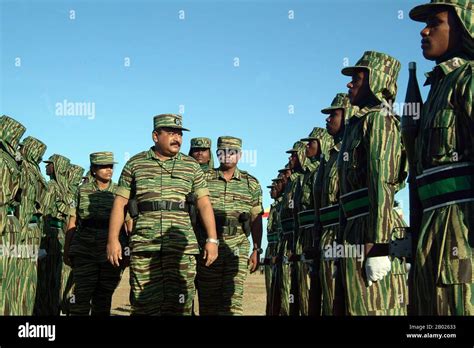 Tamil tigers hi-res stock photography and images - Alamy