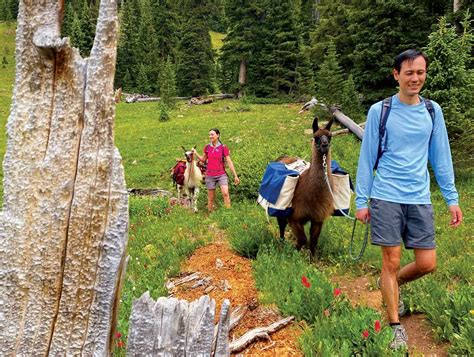 Rocky Mountain National Park in Colorado | Colorado.com