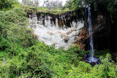 Mount Elgon National Park – Safari254