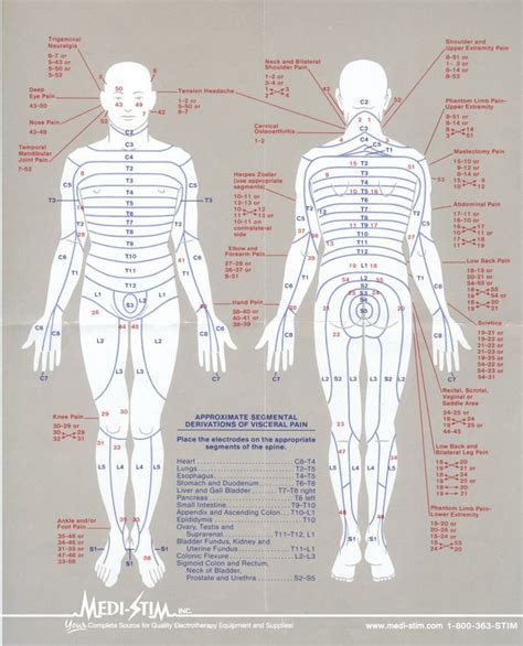 10 best TENS Unit placement charts images on Pinterest | Acupuncture ...