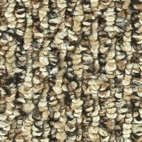 Shop Tigers Eye Berber Indoor/Outdoor Carpet at Lowes.com