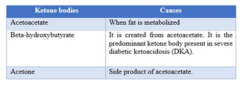 Serum Ketone Test: Purpose, How, Cost & Discount [2021] • BookmeriLab