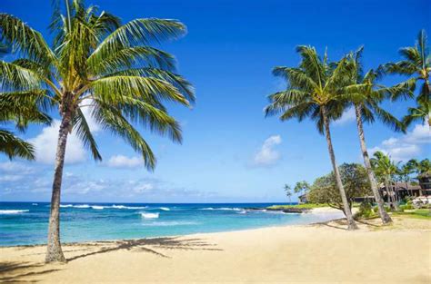 The 25+ Best Beaches in Hawaii // World Beach Guide