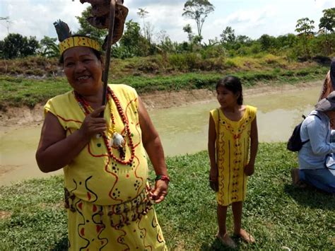 Indigenous Women in the Peruvian Amazon Are Leading the Fight for ...