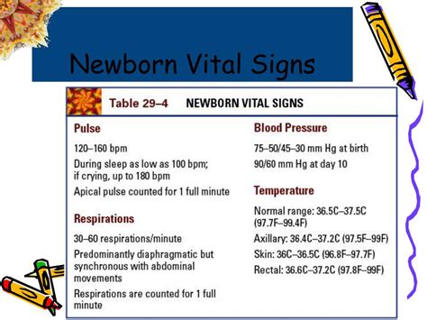 PPT - The Newborn Physical Exam PowerPoint Presentation, free download ...