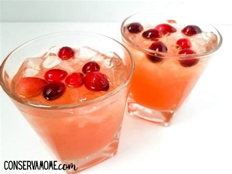 How to make a refreshing Seabreeze Cocktail : An Easy Cocktail recipe