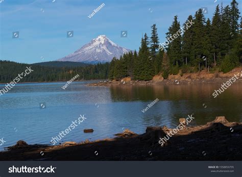 13 Timothy Lake Oregon Stock Photos, Images & Photography | Shutterstock