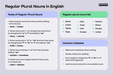 Regular Plural Nouns | Promova Grammar