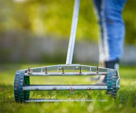 Should I aerate before seeding? – expert lawn-care advice | Homes & Gardens