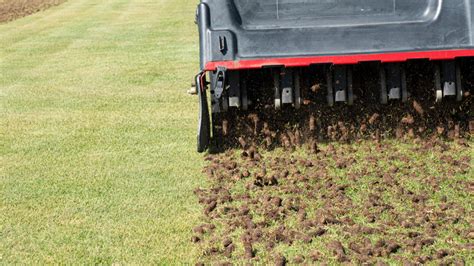 How To Aerate Your Lawn For Healthier Grass