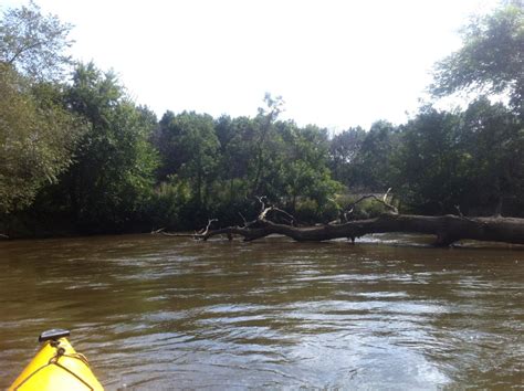 Trempealeau River I | Miles Paddled