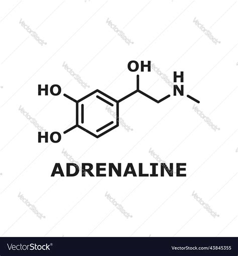 Adrenaline or adrenalin epinephrine structure Vector Image