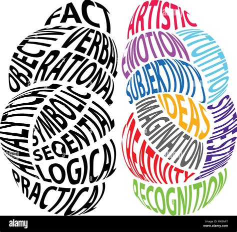 Left brain and right brain illustration Stock Vector Image & Art - Alamy