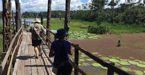 From Manaus: Amazon River Half-Day Tour | GetYourGuide