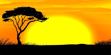 8m x 4m African Sunset Backdrop | African sunset, Sunset canvas ...