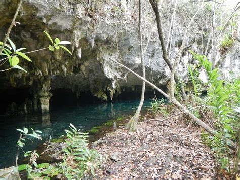 Snorkeling in Cenote Dos Ojos