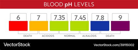 Human blood ph range Royalty Free Vector Image