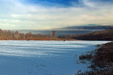 Free picture: snow, water, nature, cold, landscape, lake, tree, winter ...