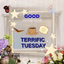 Terrific Tuesday GIF - Terrific tuesday - Discover & Share GIFs