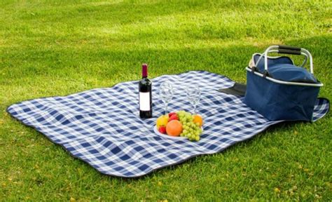 Picnic Blanket, Blue& White Check (50″x60″) – Professional Party Rentals