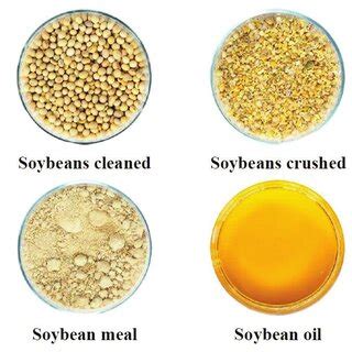 4.2 Soybean products. | Download Scientific Diagram