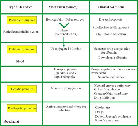 Bilirubin:- Part 1 - Total Bilirubin, Direct and Indirect Bilirubin ...