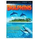 The Cove - Top Documentary Films