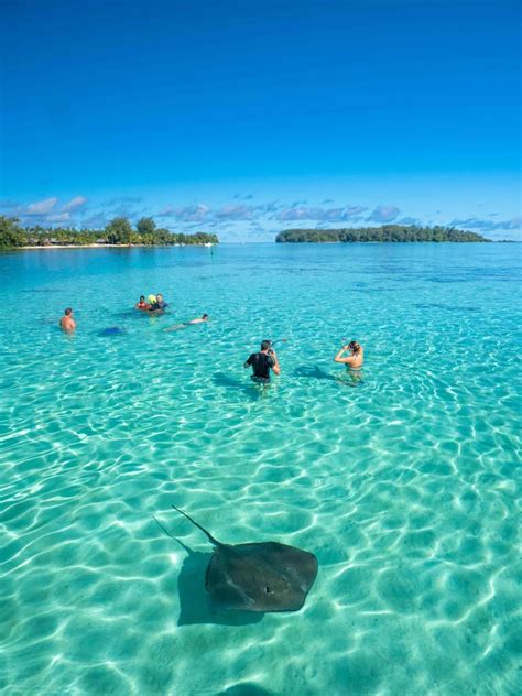 Moorea Lagoon - Tahiti Tourisme