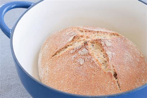 Whole Wheat Dutch Oven Bread – Strong Roots Nutrition