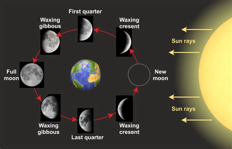 Earth Sun And Moon Phases