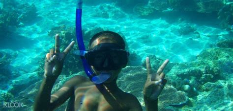 Tun Sakaran Marine Park Snorkeling Experience, Sabah, Malaysia - Klook ...