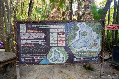 Ultimate Guide to Cenote Dos Ojos (2024) | The Whole World Is A Playground