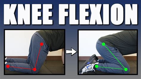 Main Knee Flexion Exercises | sexiezpix Web Porn