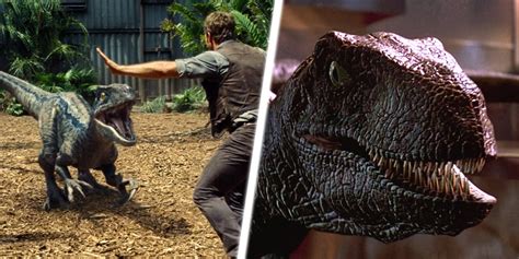 Jurassic Park/World: The 10 Best Scenes Featuring Velociraptors, Ranked