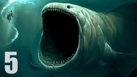 Ocean Creepy Ocean Scary Animals | Unnerving Images for Your All