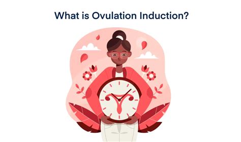 Ovulation Induction: Benefits, Process, Side Effects, Intercourse