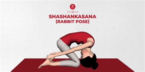 How to Shashankasana Steps | Benefits of shashankasana | Precautions ...