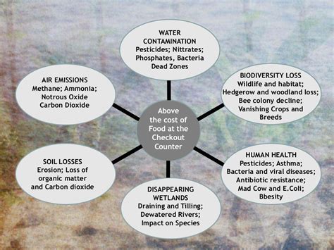 Agroecology: Principles and Practices