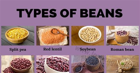 Types of Beans: 21 Different Types of Beans that You Should Try - Love ...