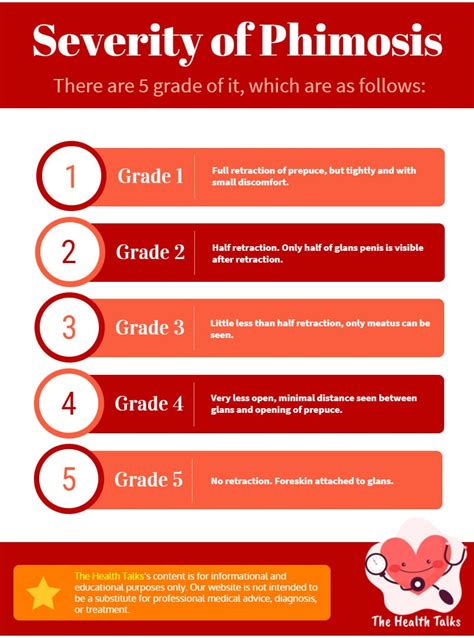 Phimosis Diagram