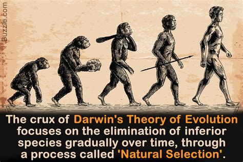 Charles Darwin: An Introduction to the Theory of Evolution - Biology Wise