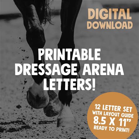 20 X 60 Dressage Arena Printable UK Sale | futuros.abrelatam.org