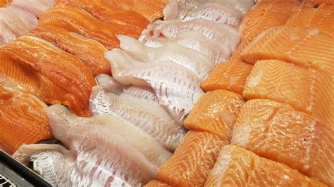 Fresh fish fillet stock image. Image of organic, fillet - 142725551