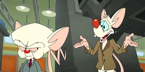 Animaniacs Reboot Trailer Brings Back Pinky & The Brain